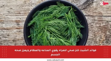 فوائد الشبت كنز صحي للمرأة يقوي المناعة والعظام ويعزز صحة الجسم